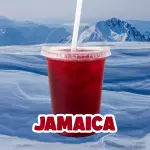 Agua Jamaica (LITRO)