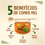 Mel Flores do Cerrado  1kg
