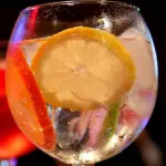 Coctel Gin Tonic