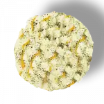 Palmito