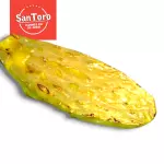 Nopal asado