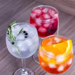 Gin Sabores