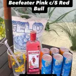 COMBO GIN BEEFEATER PINK C/5 RED BUL