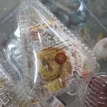 PIONONOS