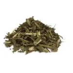 Arnica do Mato 100g