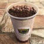 700 ml Creme Ninho e biscoito