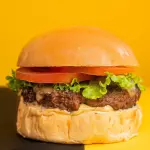 SALAD BURGER