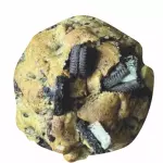 Galleta Choco Oreo