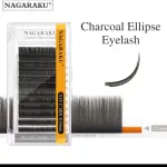 Nagaraku eclipse