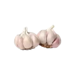 Ajo (35 cabezas)