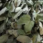 Pata de Vaca