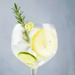GIN TONIC