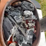 Papa Asada
