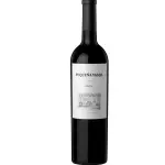 PEQUEÑA VASIJA MALBEC