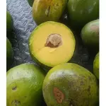 Aguacate choquette 19.000