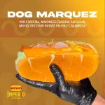 DOG MARQUÊS