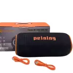 CAIXA DE SOM PEINING 60W PEI-282BTS