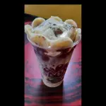 AÇAÍ NINHO 300 ML (256)