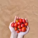 Tomatinho (200g)