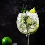 038 - GIN TONIC ODER LEMOS