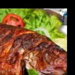 tilapia