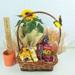 C002 Cesta Encanto Especial