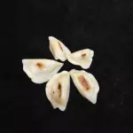 Gyosas