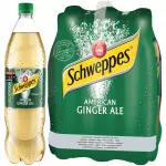 GINGER 1.5