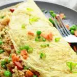 Chicken Egg Wrapped Fried Rice