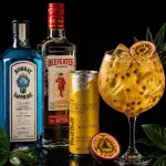 Tropical Gin Especial