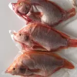 Mojarra Entera x unidad (380 g)