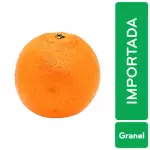 Imported Orange Bulk Kg