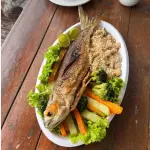 Peixe Marcos André