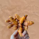 Cúrcuma in natura (150g)