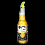 CORONA LONG NECK