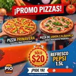 PROMO 2 PIZZAS PRIMAVERA Y JAMON