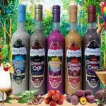 COCTEL RESERVA D´PACHECO 500 ML