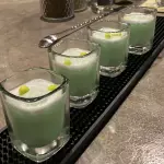 MINT Shots (6 shots)