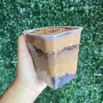 Pote ovomaltine