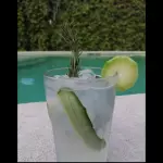 Gin Tonic