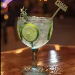 GIN TONIC