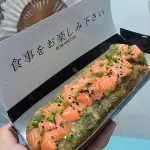 Dog salmão