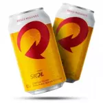 SKOL LATA 350 ML