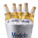 Cubetazo Modelo
