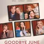Adiós june