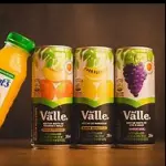 SUCO DEL VALLE LATA 290