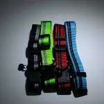 Collar de Rayas Pequeño
