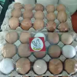 Huevos Caseros