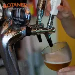 Cerveza de Barril Pinta