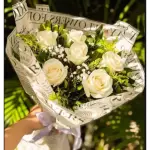 Buque Rose Color